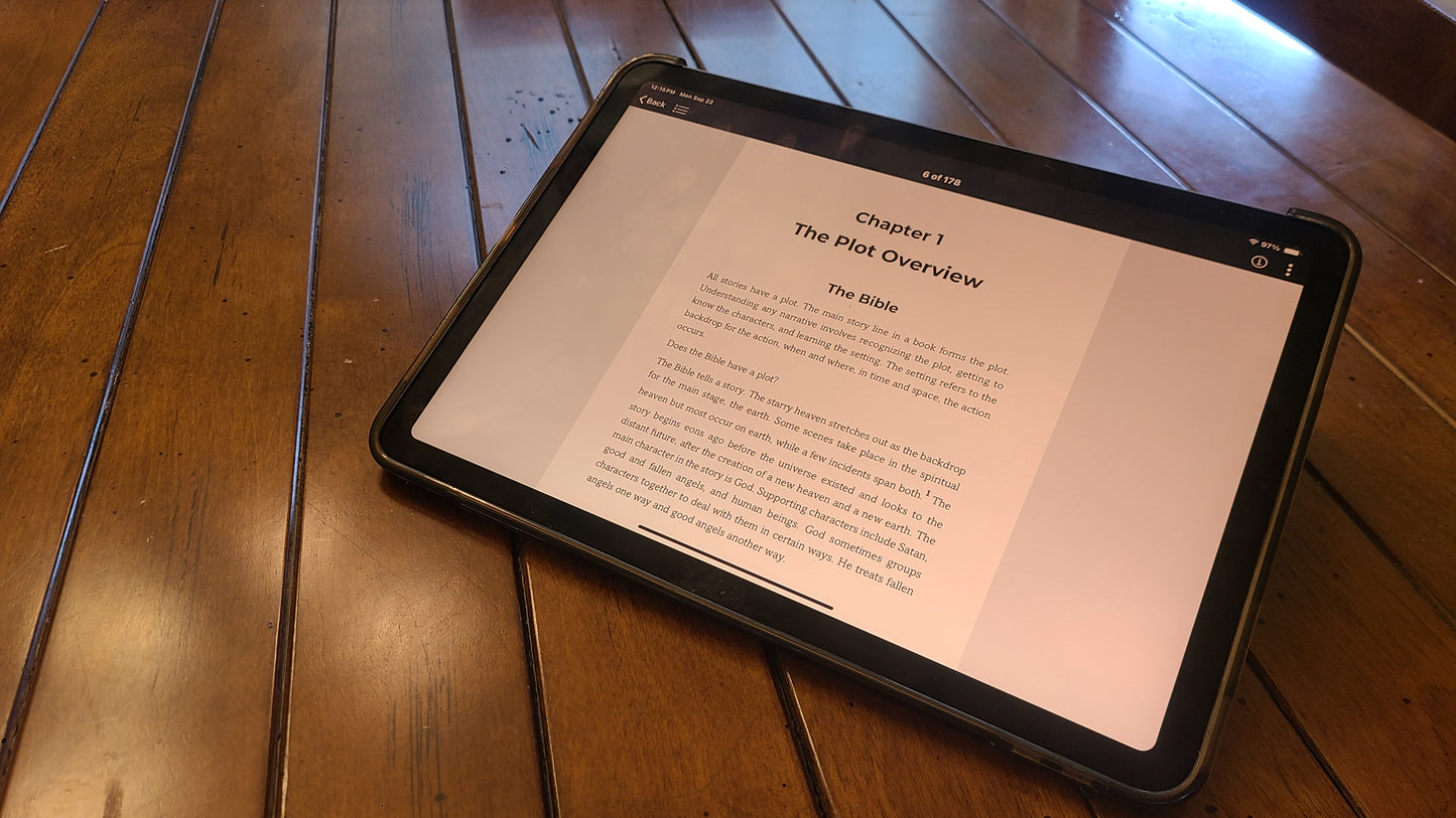 The Plot: Bible Overview by Bob Enyart (E-book)