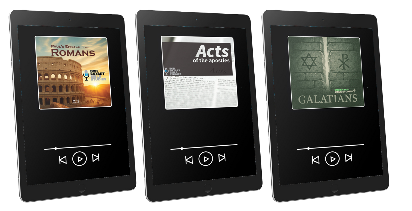 Romans, Acts & Galatians BUNDLE