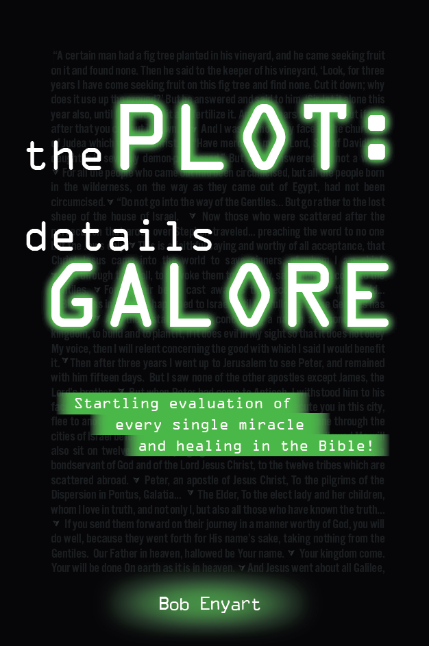 The Plot: Details Galore by Bob Enyart (Paperback)