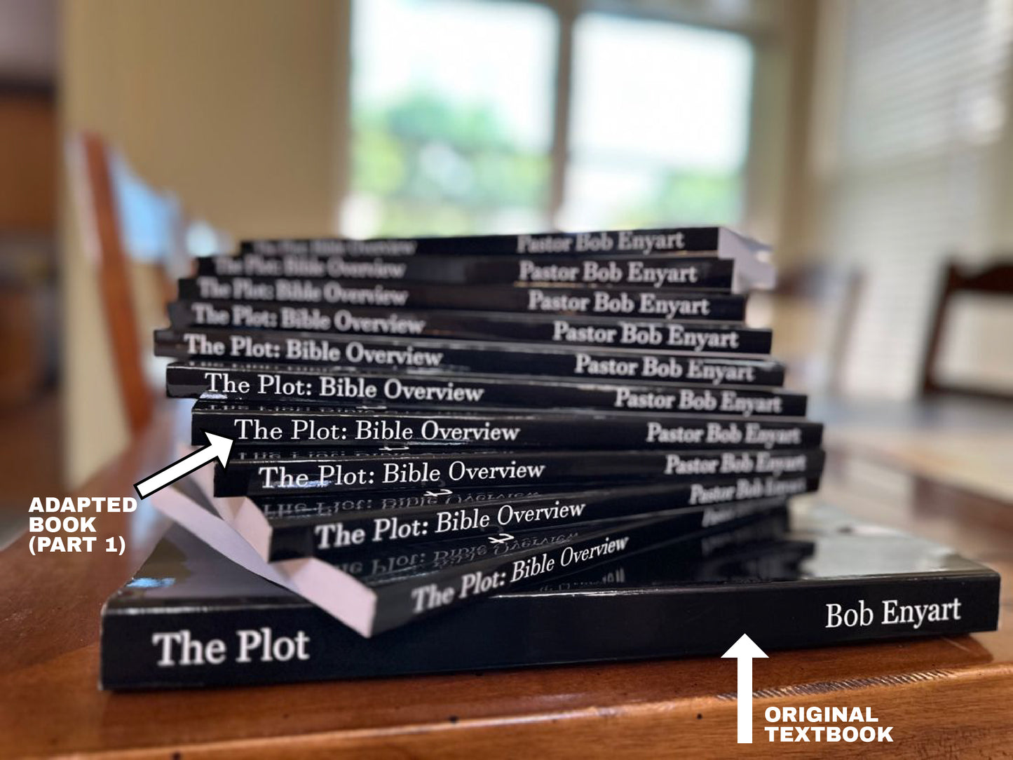 The Plot: Bible Overview by Bob Enyart (Paperback)