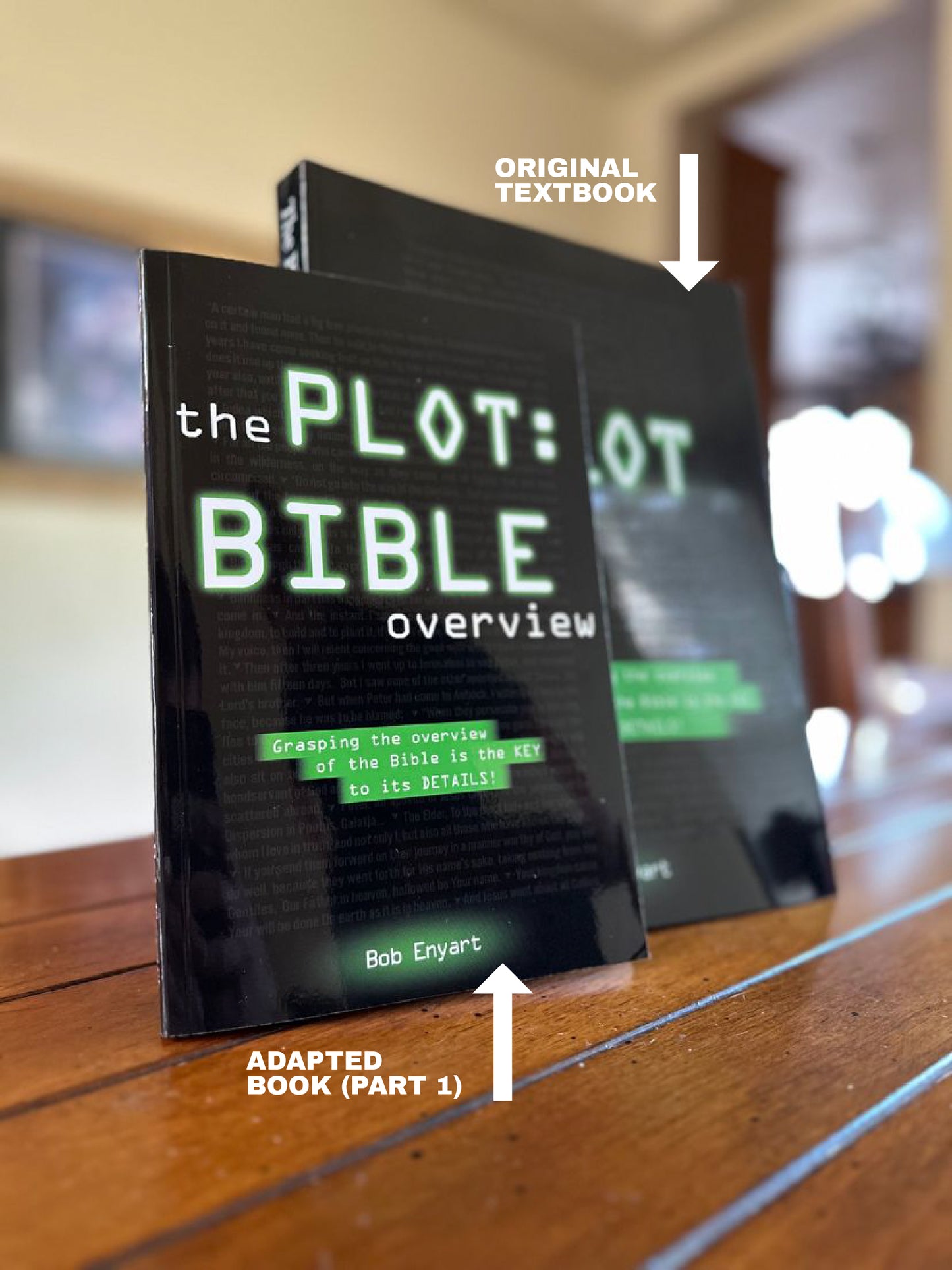 The Plot: Bible Overview by Bob Enyart (Paperback)