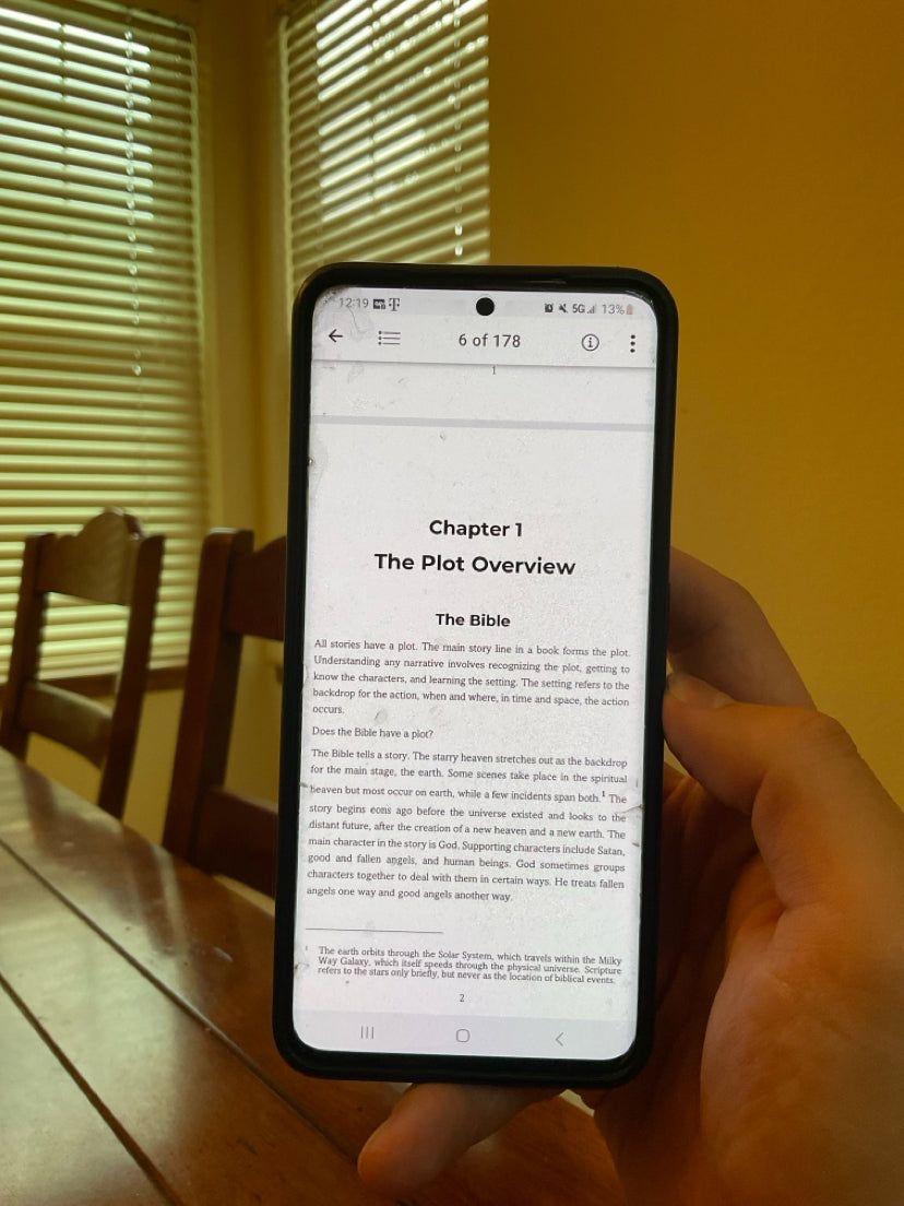 The Plot: Bible Overview by Bob Enyart (E-book)