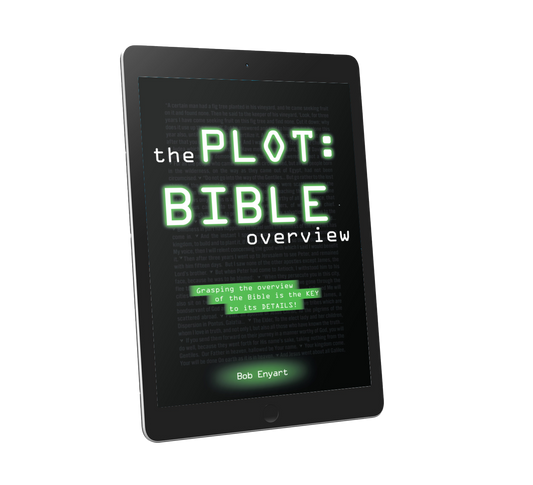 The Plot: Bible Overview by Bob Enyart (E-book)