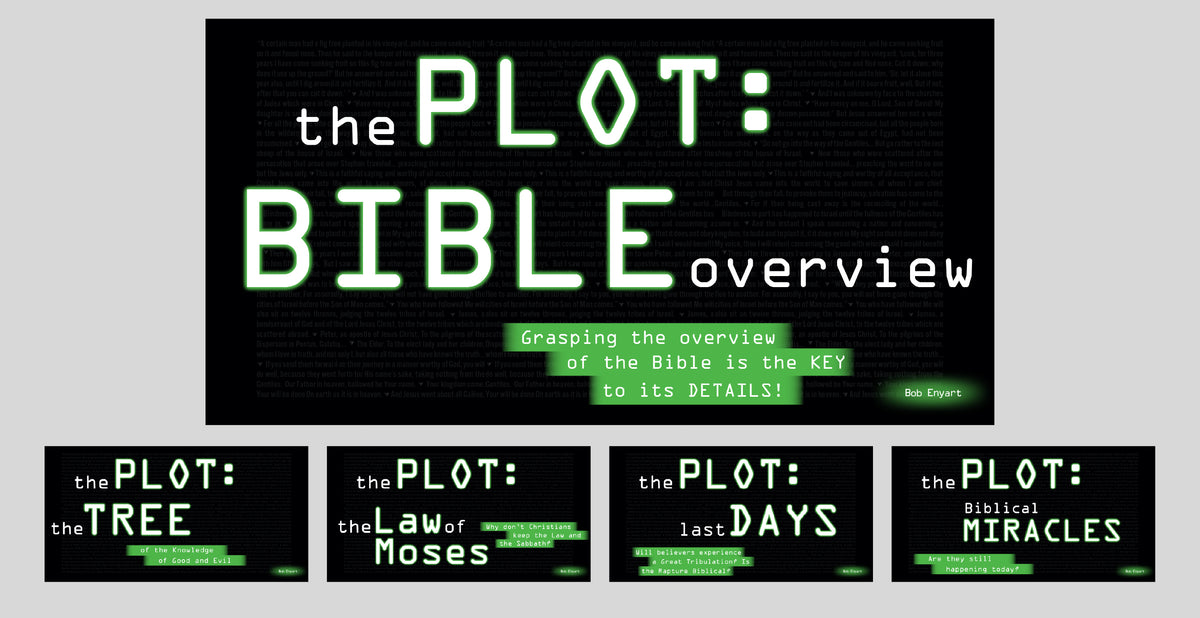 BUNDLE | 5 The Plot Bible Overview Courses