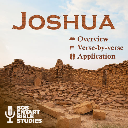 Joshua audiobook by Bob Enyart Bible Studies, title text overlaying an ancient stone ruin landscape.
