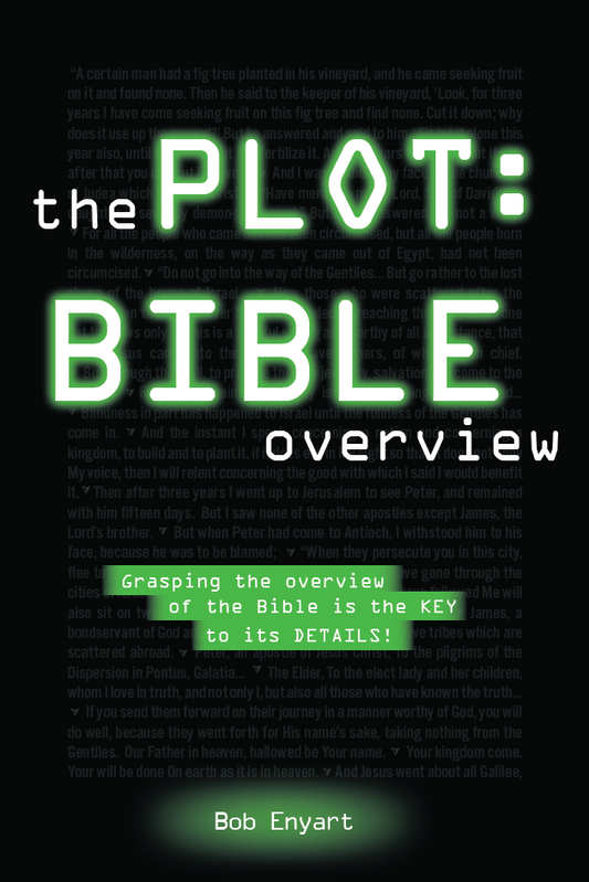 The Plot: Bible Overview by Bob Enyart (Paperback)