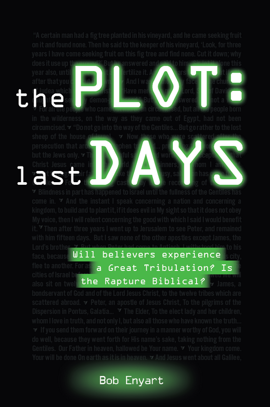 The Plot: Last Days by Bob Enyart (Paperback)