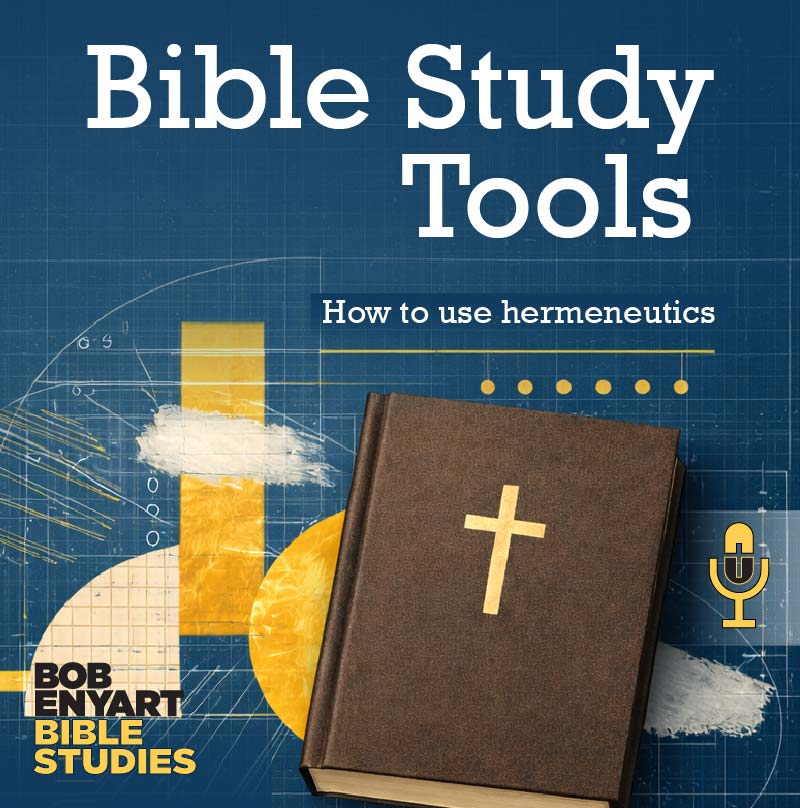 Bible audiobook with brown cover by Bob Enyart, featuring a gold cross on a blue background with graphs.
